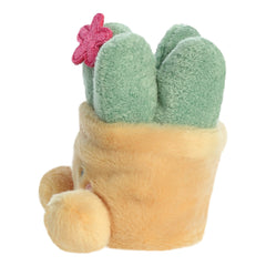 Plante grasse Palm Pals Seyla 13 cm