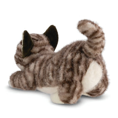 Borealis Esme Tabby Cat 34cm