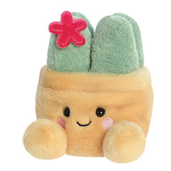 Plante grasse Palm Pals Seyla 13 cm