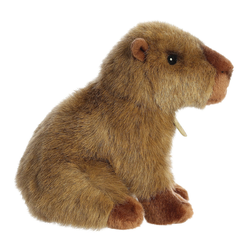 MiYoni Capybara 26cm Plüschtier - Aurora World GmbH