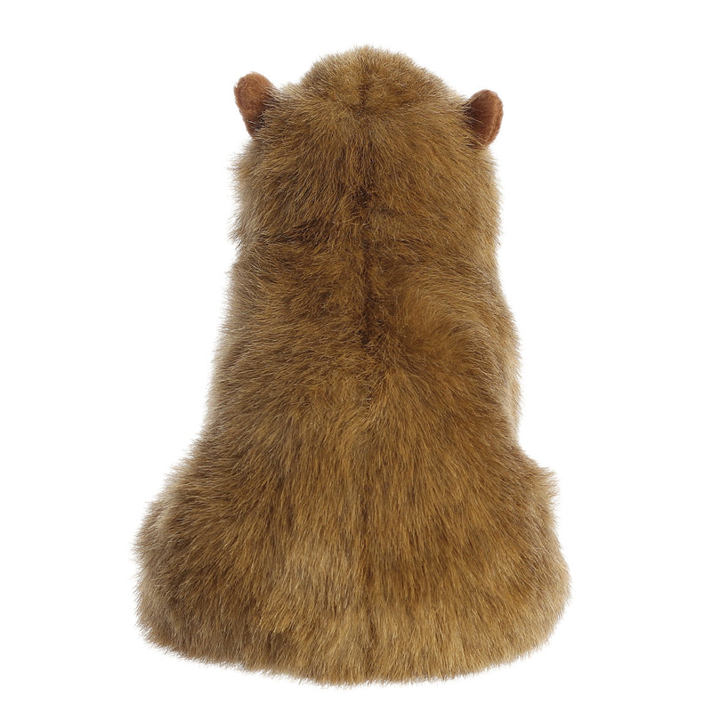 MiYoni Capybara 26cm Plüschtier - Aurora World GmbH