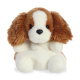 Palm Pals Cocker Spaniel 13cm Plüschtier - Aurora World GmbH 